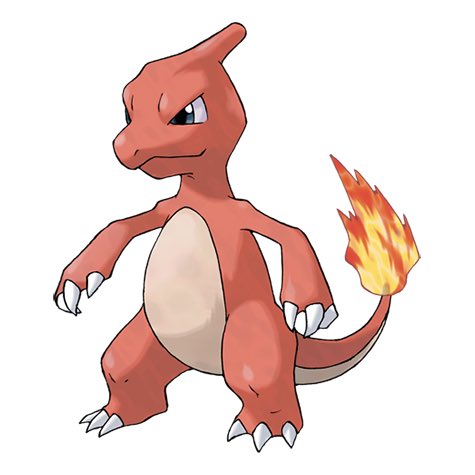 mcongrove4's tweet photo. Charmeleon use Horns Down https://t.co/RNbMhkSBal