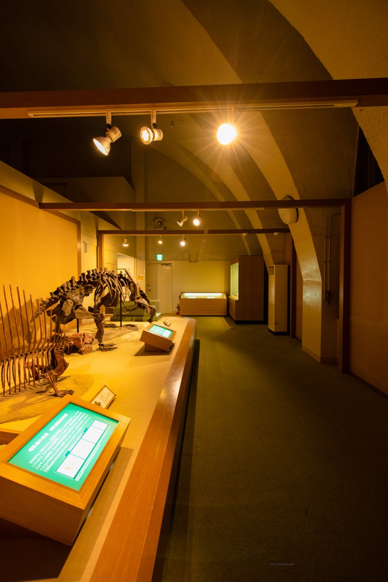 Last scape _最後の風景 on Twitter 