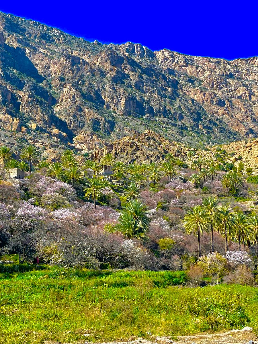 omn330's tweet photo. # Oman_domestic_tourism: You want a wonderful tourist place most of the year and close to Muscat for less than an hour, these places are what I consider the wondrous triangle 🔼  #Rustaq #Awabi #Nakal that start from the Hawqayn al kanadk, Wadi Bani Hani, Wadi Al-Sahtan Wadi Bani Awf, Wadi bani Kharoos and wakan