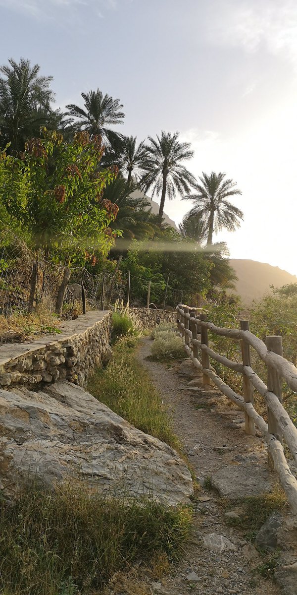 omn330's tweet photo. # Oman_domestic_tourism: You want a wonderful tourist place most of the year and close to Muscat for less than an hour, these places are what I consider the wondrous triangle 🔼  #Rustaq #Awabi #Nakal that start from the Hawqayn al kanadk, Wadi Bani Hani, Wadi Al-Sahtan Wadi Bani Awf, Wadi bani Kharoos and wakan