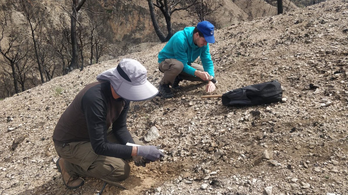 geo_jrc's tweet photo. With @TrierUni and #PlanPropio @CanalUGR surveying hydrological and geomorphological processes in #LosGuájares incredible mixture of severe affected burned and non-affected areas. @Plan_INFOCA @AgriculturAnd @FireintheEarth1 @COST_FIRElinks @InfocaBombero https://t.co/pezbKHBQ7D