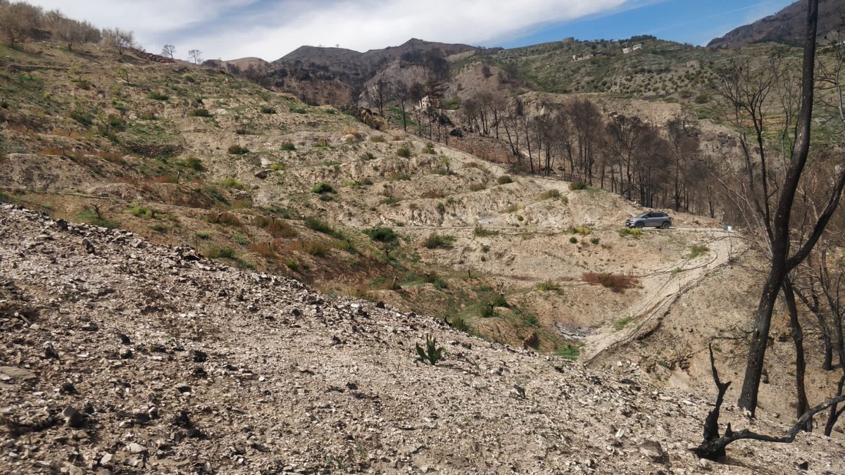 geo_jrc's tweet photo. With @TrierUni and #PlanPropio @CanalUGR surveying hydrological and geomorphological processes in #LosGuájares incredible mixture of severe affected burned and non-affected areas. @Plan_INFOCA @AgriculturAnd @FireintheEarth1 @COST_FIRElinks @InfocaBombero https://t.co/pezbKHBQ7D