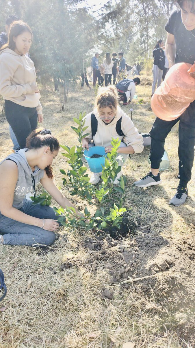 SAmalucan's tweet image. #RallyMX #ExploraDatosMX #mercadatos  Nuestra participación en RallyMX en su Octava edición, gracias por invitación a este gran ejercicio de transparencia presupuestaria y democracia participativa. Equipo Salvando el Cerro de Amalucan iniciativa Reafca.