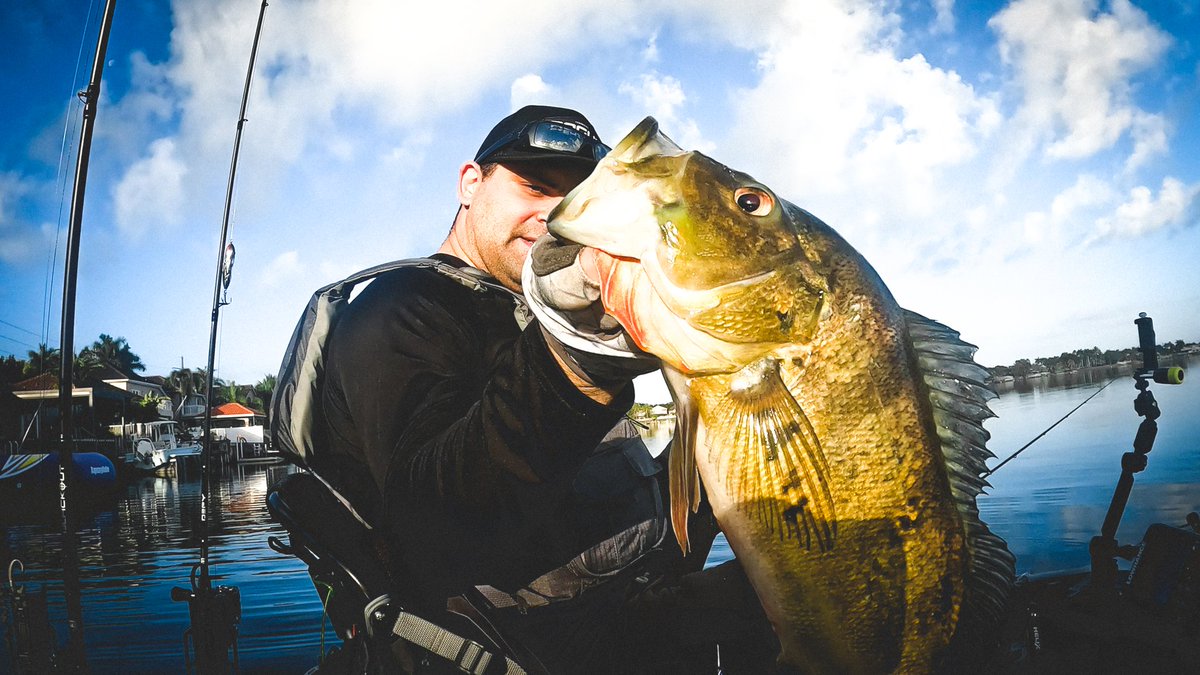 NicholasBeltr17's tweet photo. Heavy hitters and so much energy it's a complete blast when catching peacocks especially using artificial 🫡🫡🫡🫡🫡🫡
#peacockbassfishing #kayakfishing #exotics #flordiafishing #aftco #roguegear #fishmonkey #southfloridafishing #fishing https://t.co/15WUlICmdM