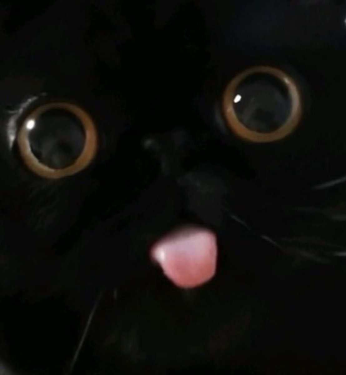 kapebeansies's tweet photo. https://t.co/B65g5TuOmg