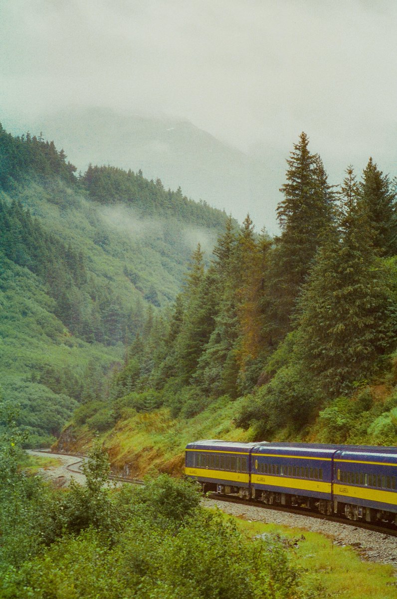 AlexKittoe's tweet photo. Alaska greens on 35mm https://t.co/3Bs5hNUAzb