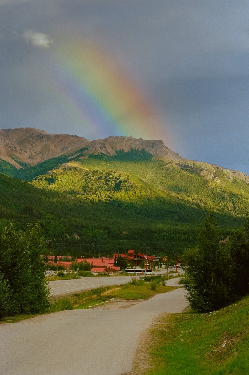 AlexKittoe's tweet photo. Alaska greens on 35mm https://t.co/3Bs5hNUAzb