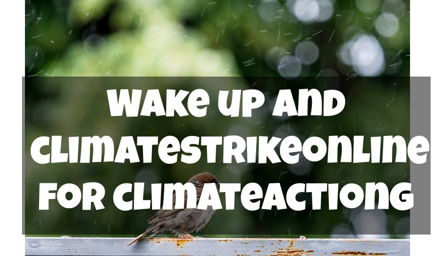 Wake up and climatestrikeonline for climateactiong