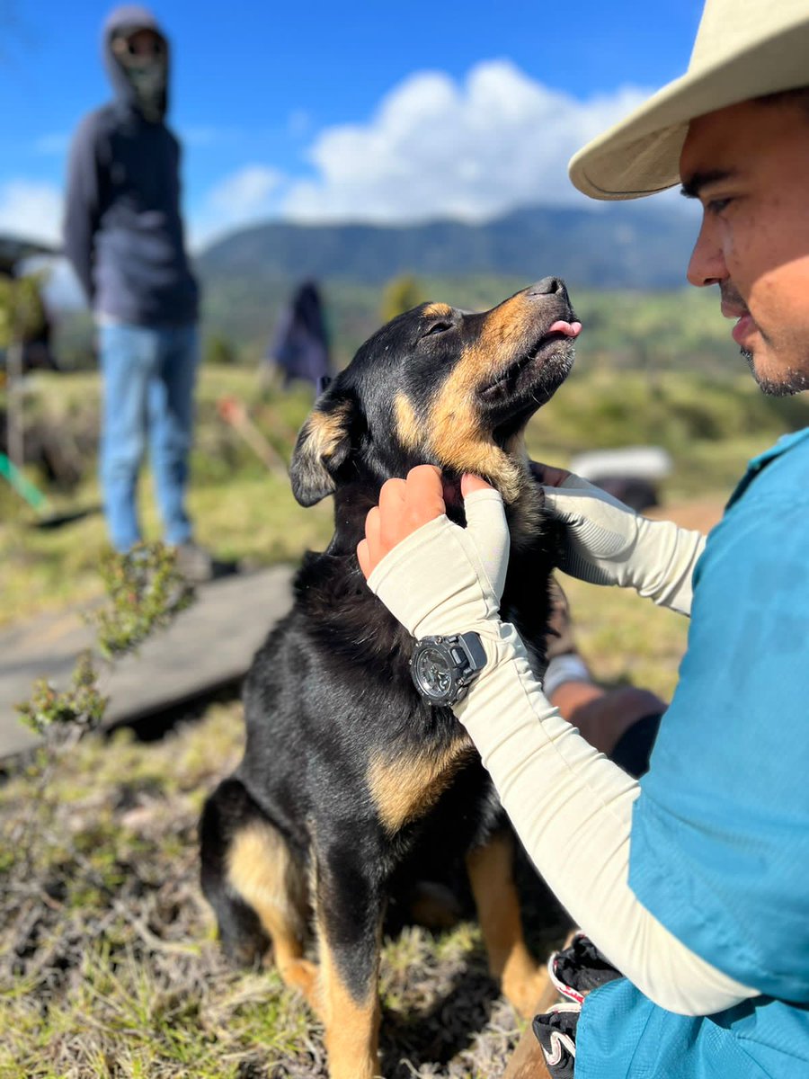 Hay muchisimos perritos abandonados en las faldas del Turrialba aguantando frio y mucha hambre. Hay una rescatista que necesita padrinos para darles comidita con algunos muchachos que trabajan cerca. Para donaciones de comida es el sinpe 8846 2504. Muchas gracias!