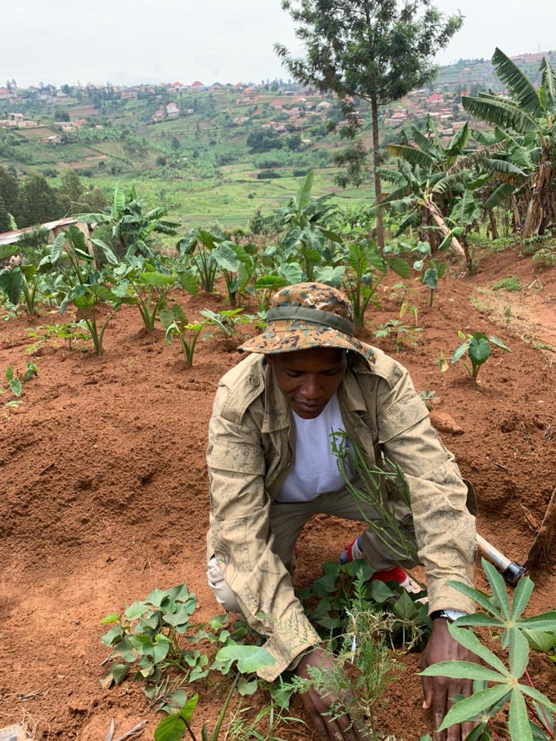 SaveEnvironme14's tweet photo. Today, SEI participated in environmental activity of planting trees organized by @IsaroEconext in Mpamba Cell, Runda Sector,  @Kamonyi. We made it for posterity !#Treeislife

#Greenekt2023 https://t.co/BPPigve4bB