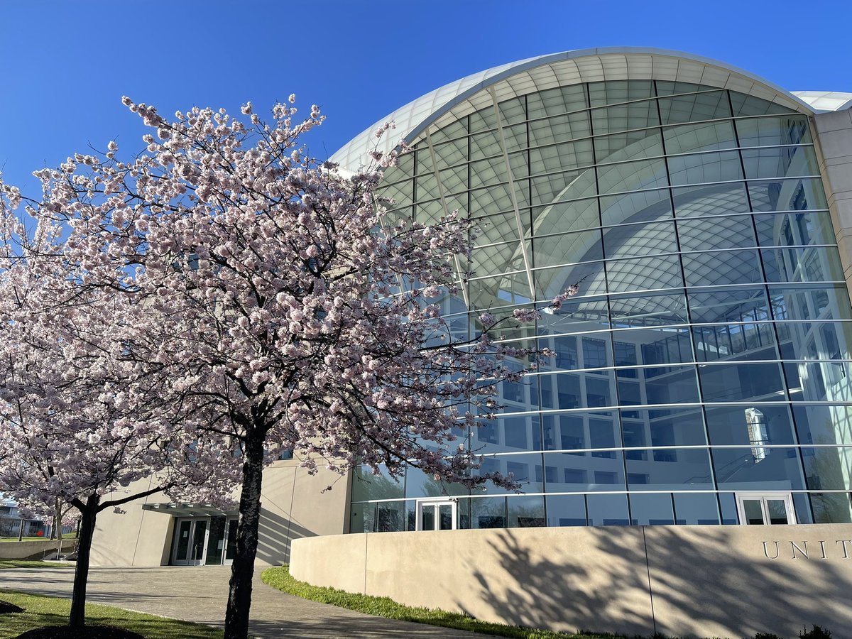 davidsaulacosta's tweet photo. A spectacular day in the nation’s capital 🇺🇸 🌸 #Spring #PeaceInstitute https://t.co/ji6Frdn48d