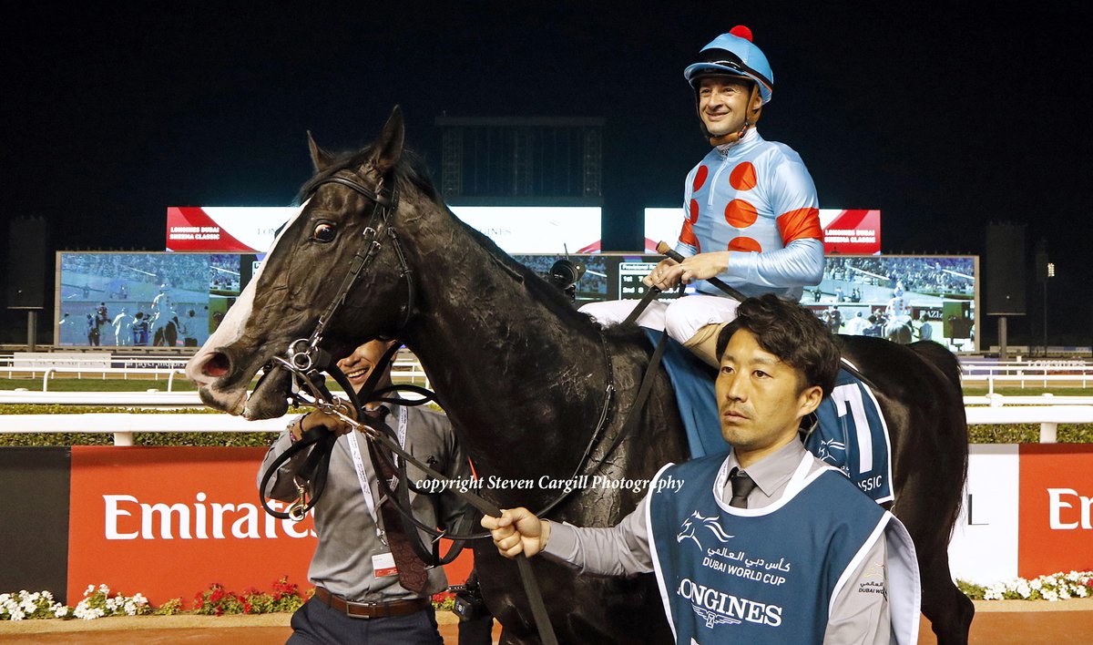 Steven_Cargill's tweet photo. Scenes with EQUINOX, winner of last night's G1 Sheema Classic @RacingDubai 
(His eyes follow you round the room) https://t.co/BoD0DNdUJ3