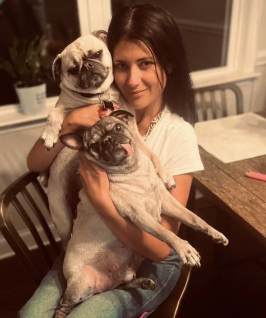 Keanu Thompson on Twitter "The other one is my dads pug, Smash. Lol."