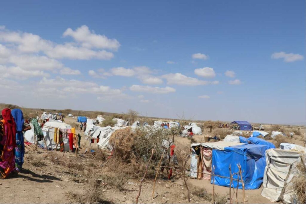 HayuAfar's tweet photo. 35,520 out of 663,601 have received food assistance in #Afar  region, but the situation remains dire for thousands of IDPs struggling to access basic necessities. Donate today and make a difference. #SavelDP  #Ethiopia @AbiyAhmedAli https://t.co/NaU26c9pqa