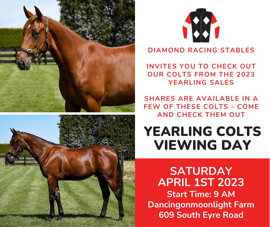 Diamond Racing on Twitter "💎 Diamond Racing Stables invites you to