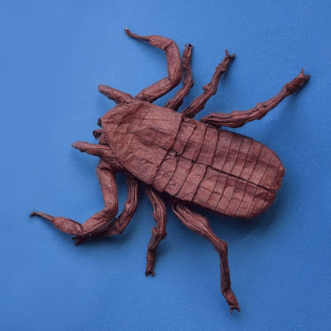 Some of my prehistoric origami creechers! 🤭