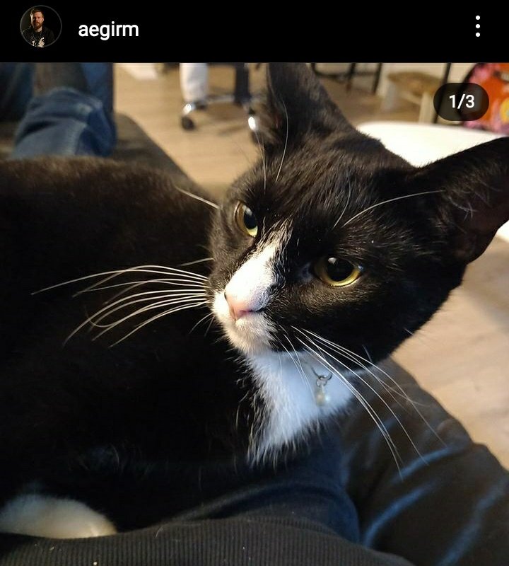 Endilega hjálpið mér að deila sem víðast. Ekki búinn að sjást í meira en sólarhring núna, hef miklar áhyggjur af besta vini mínum :'(