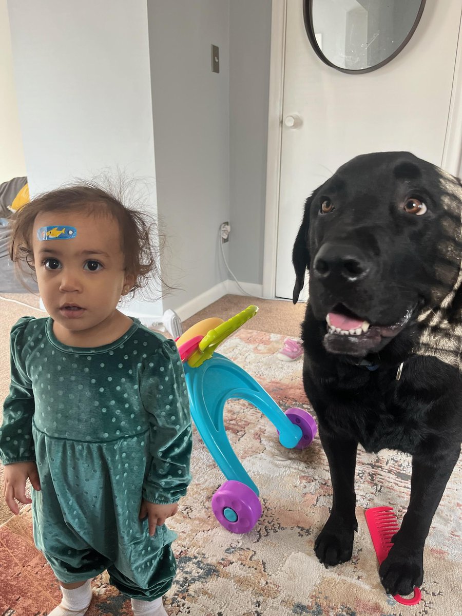 dddale's tweet photo. My granddaughter and grand doggy Otis https://t.co/XLJOEuMVcE