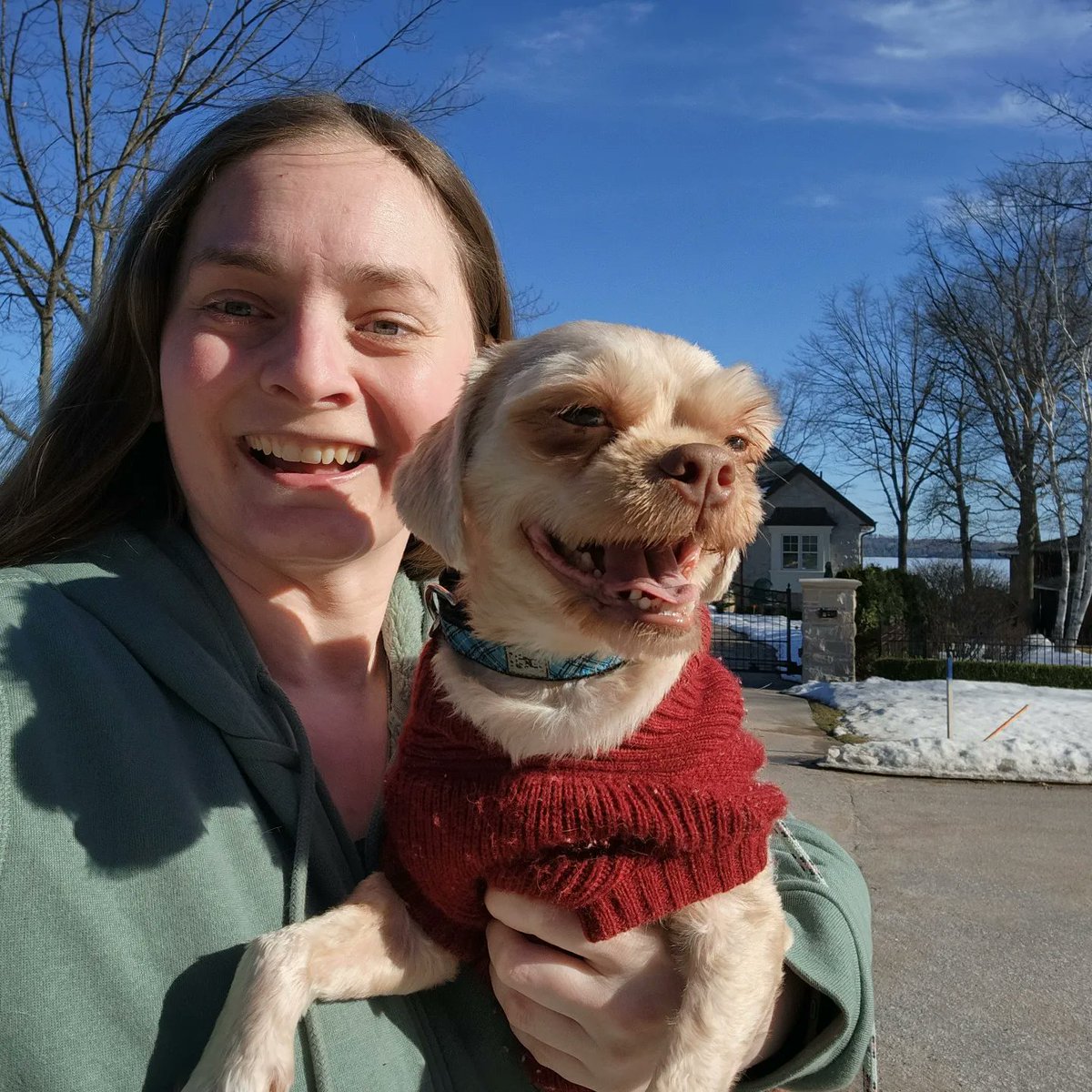 AgilitywAmanda's tweet photo. What an absolutely gorgeous day today🥰🌞 it's starting to feel a lot like spring, so Joey was able to join me for a walk in his sweater🌸

#feelslikespring #springwalk #springdogwalks #dogwalking #shipoo #shihtzucross #poodlecross #muppetdog #selfiewithdog #dogselfie #meandmydog https://t.co/a7lwyQL5WS