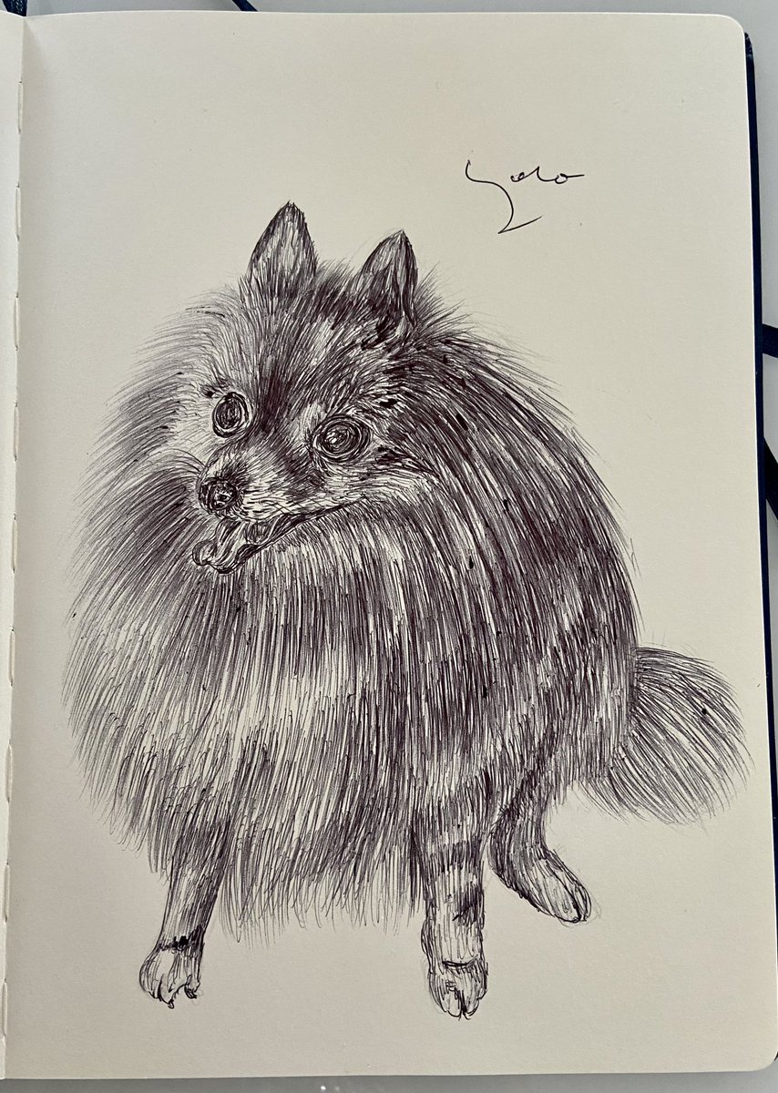 Ballpen Illustrator tweet media