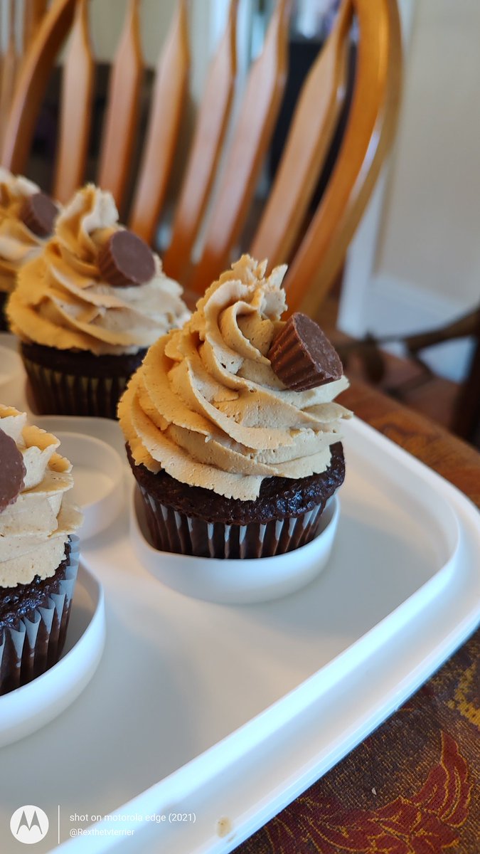 rexthetvterrier's tweet image. If you've had a tough week, I recommend making cupcakes.  That always makes me feel better and it's delicious cleaning up #Dogsoftwitter #Cupcakes #bakingTherapy #yummy