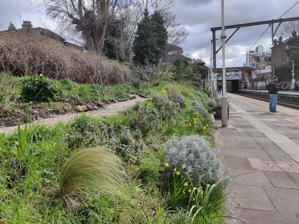 Fantastic garden at Rectory Road overground #TfL #rectoryroad #londonist