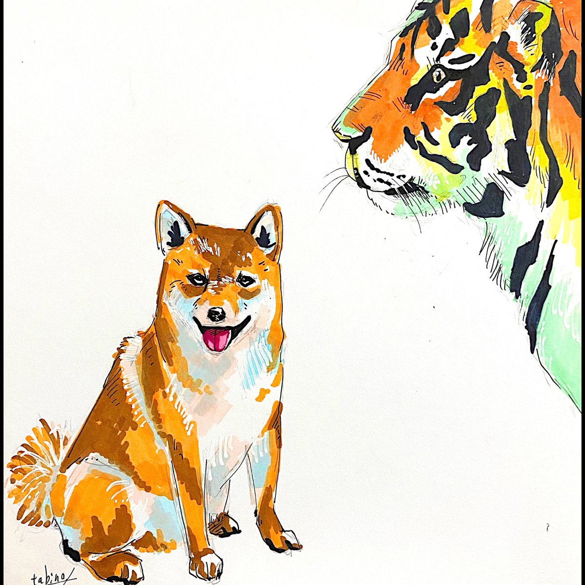 「実際には無い組み合わせシリーズ。虎と柴犬です。#動物 #動物イラスト #絵描きさ」|tabino.のイラスト