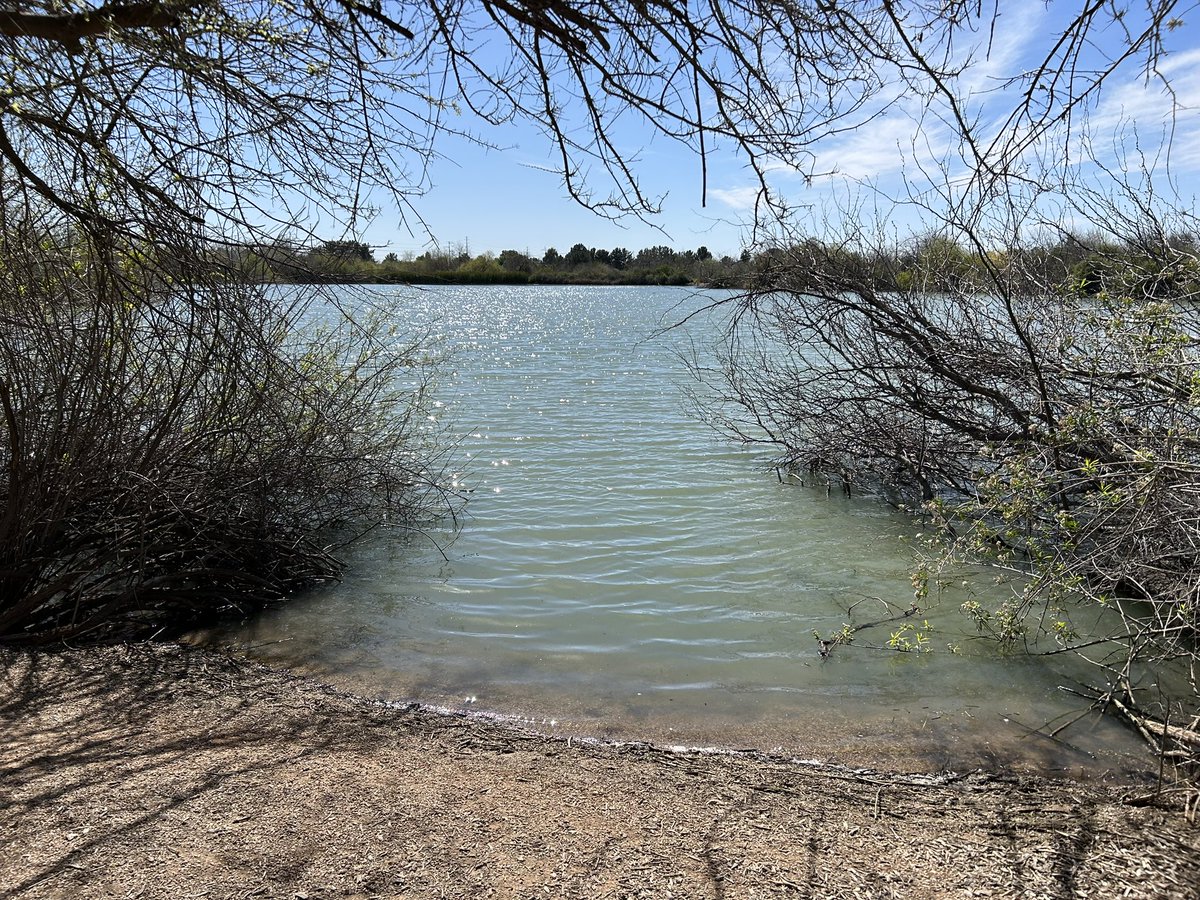 mikeycryptolife's tweet image. Proof of grass touching🌱☀️