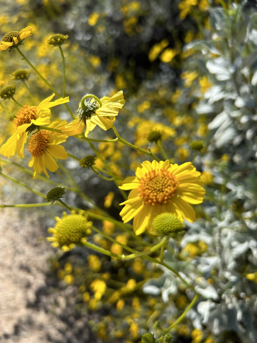 mikeycryptolife's tweet image. Proof of grass touching🌱☀️