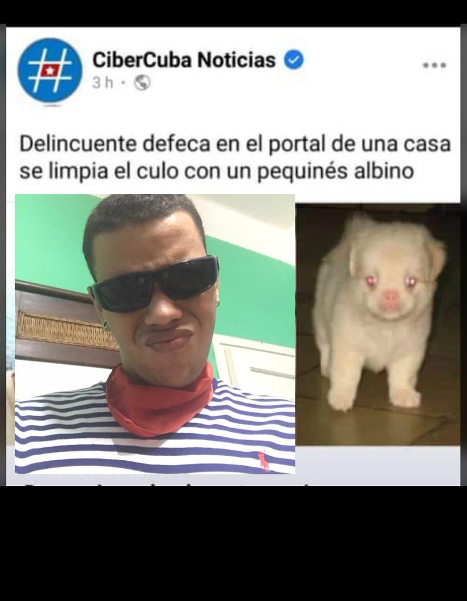 Hasta cuándo el maltrato animal?