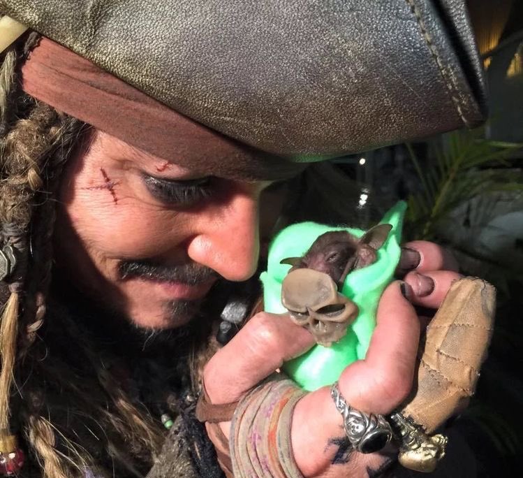DEPPFlLES's tweet photo. thinking about johnny depp bottle feeding a baby bat he adopted named jackie sparrow, while dressed as jack sparrow https://t.co/WKZv4e6xbP