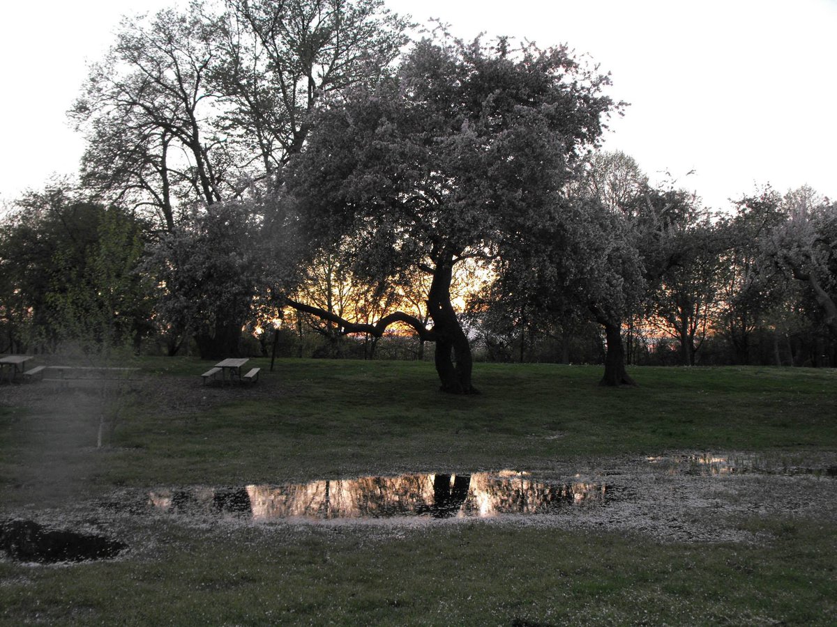 MichelleJarw's tweet photo. #SavetheMeadows #SavetheLakes 

We had the Lakes practically to ourselves for many years, and we're grateful for that. Now they're ruining it. Too many people will be coming in now with Cafés, parking lots &amp; ⚽asphalt fields&amp; Large tree canopy is gone.

https://t.co/InVzVJg0aE https://t.co/kzCf5DnWuB