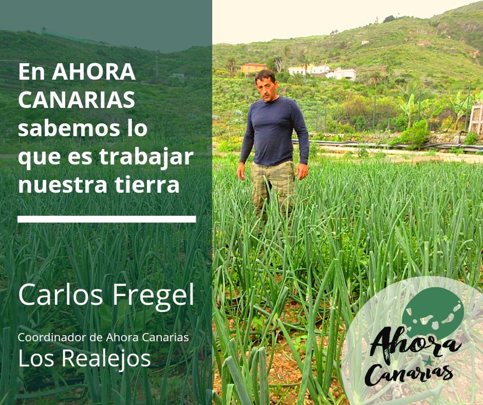 En Ahora Canarias conocemos de primera mano, las dificultades a las que nos enfrentamos las y los trabajadores autónomos del sector agrario, y vamos a plantear soluciones que ayuden a mejorar las condiciones de vida de quienes nos dedicamos a trabajar la tierra con nuestras manos