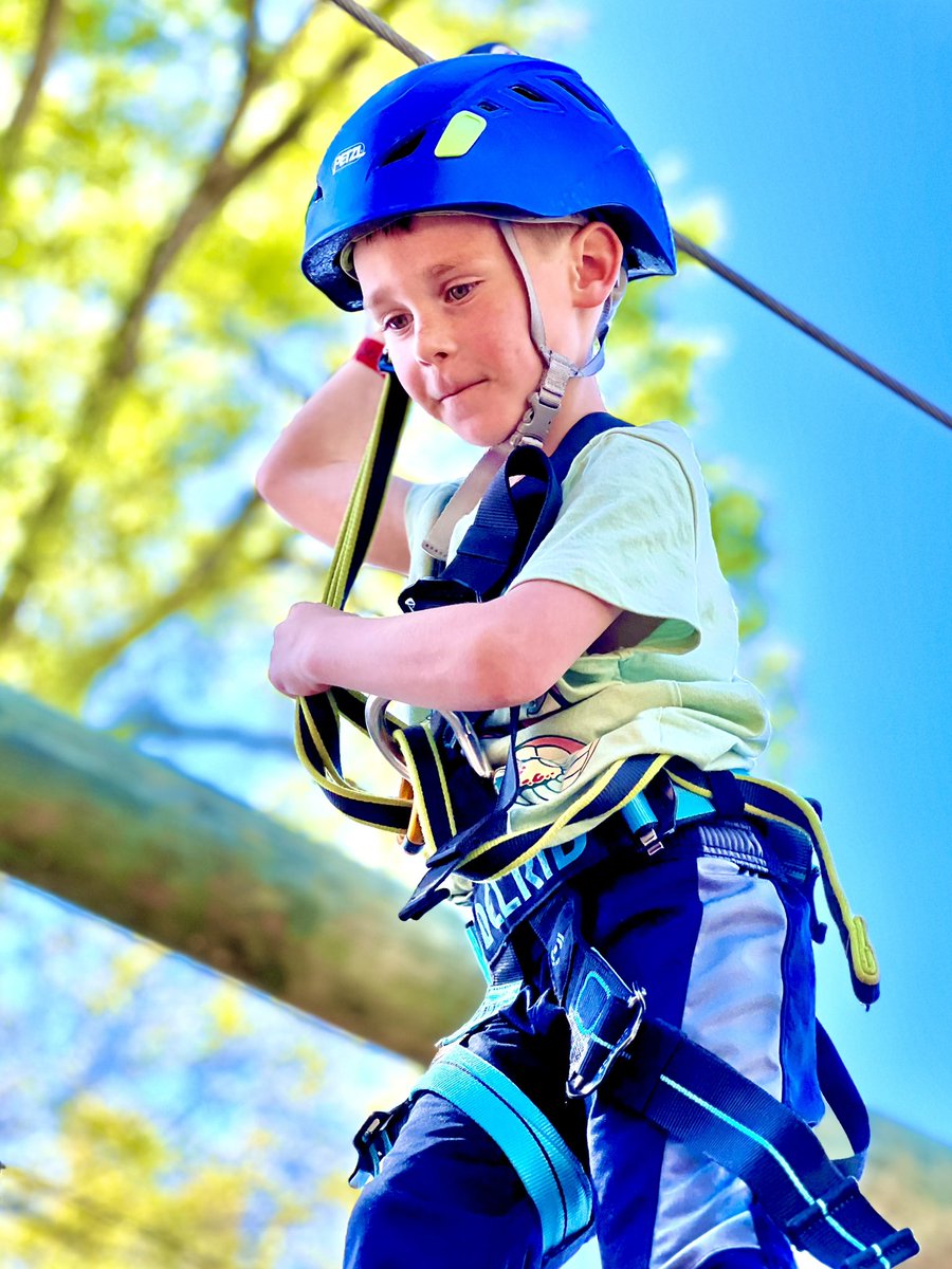 William Miley tweet media