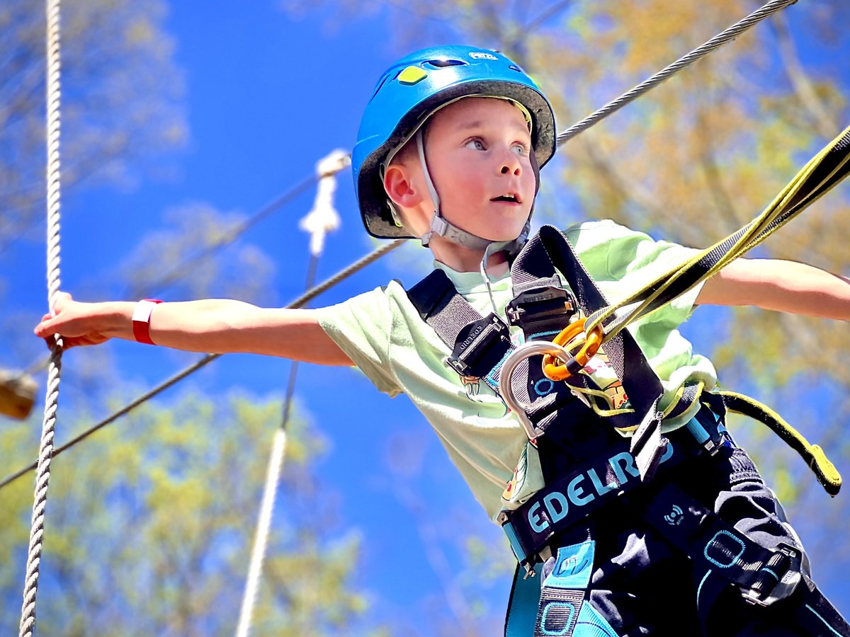 William Miley tweet media