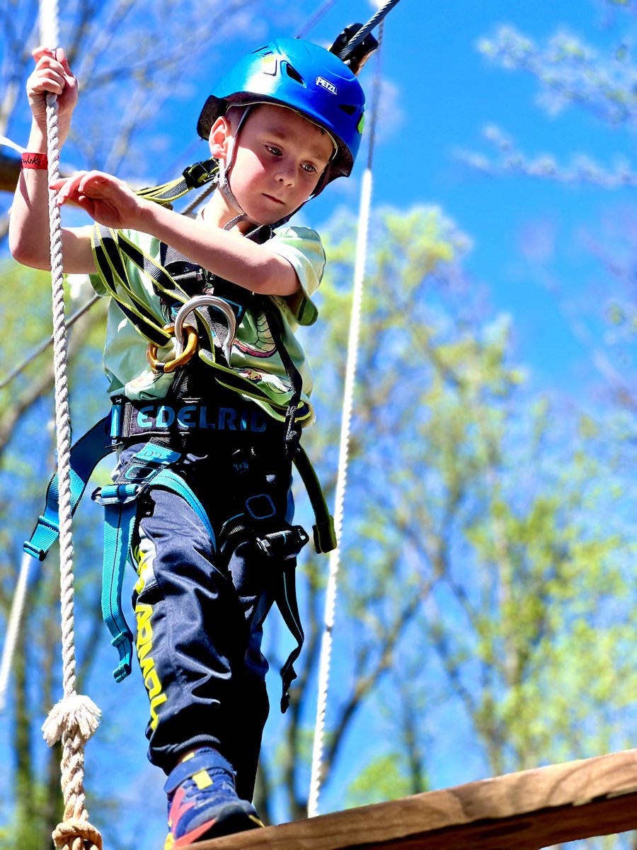 William Miley tweet media