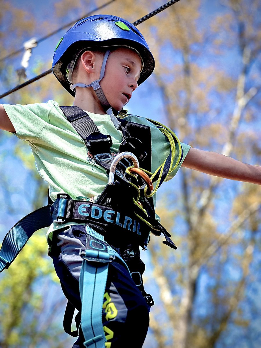 William Miley tweet media