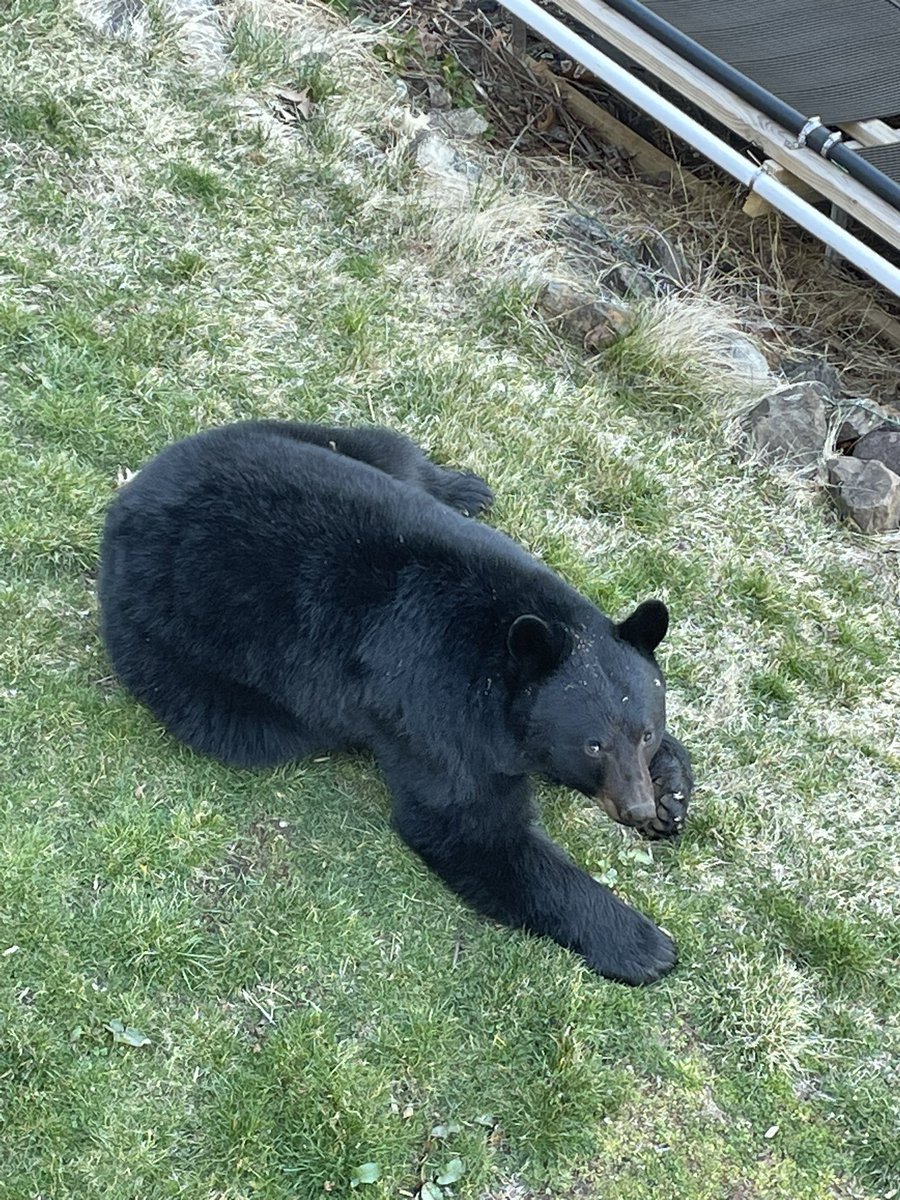 Dr. Kenneth Kunz (he/him) tweet media