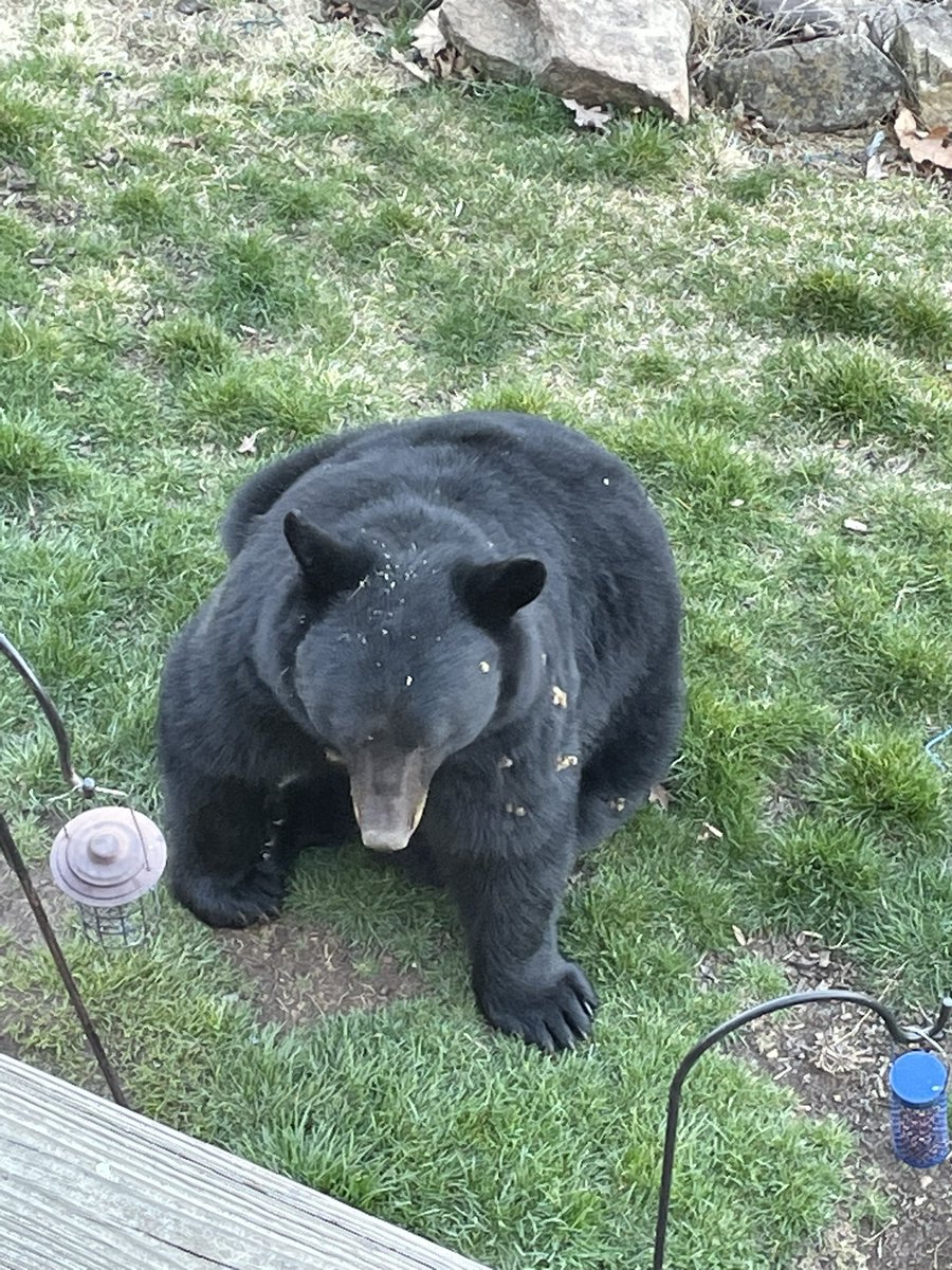 Dr. Kenneth Kunz (he/him) tweet media