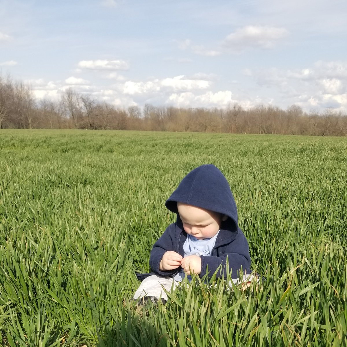 OstermeierFarms's tweet photo. #NewProfilePic https://t.co/Q8mnCsn5pD