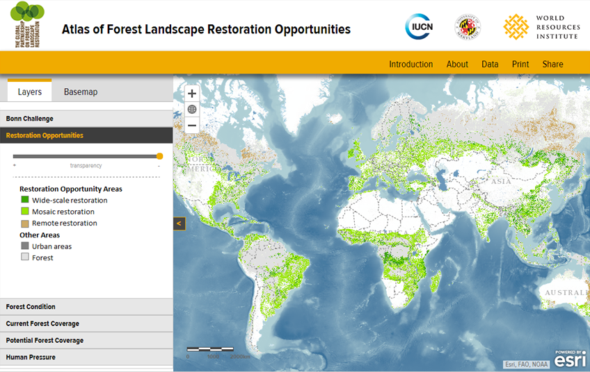 1.5 billion hectares on earth ready for restoration. 

99% of #forest areas unable to unlock value for their ecosystem services

At #OFP we are changing the paradigm 👉 can you imagine when the map below will be a reflection of our planet?
<a href="/WorldResources/">World Resources Institute</a> 
bit.ly/3Zf4cNX