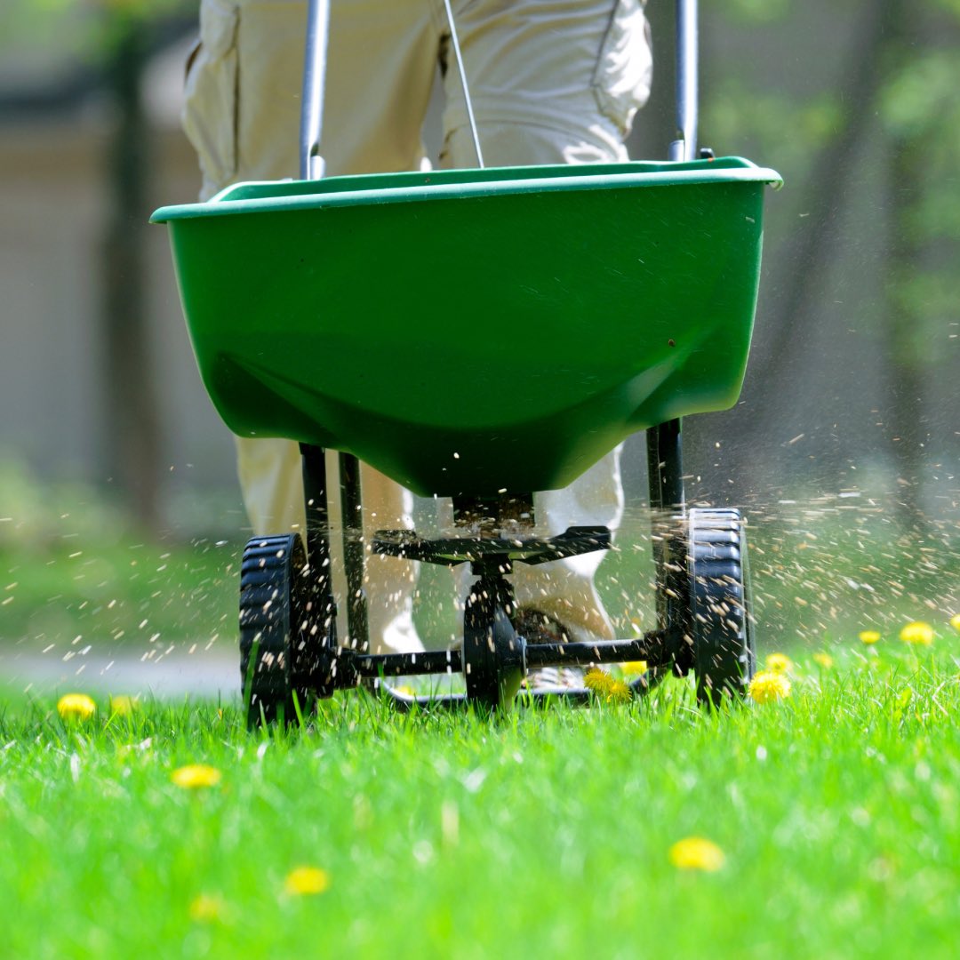 It’s not too late to have a healthy and weed-free lawn this year! 

Our fertilization and weed control plan starts at $29 per month for smaller yards. 

#lawncare #carync #newhillnc #apexnc #hollyspringsnc #morrisvillenc