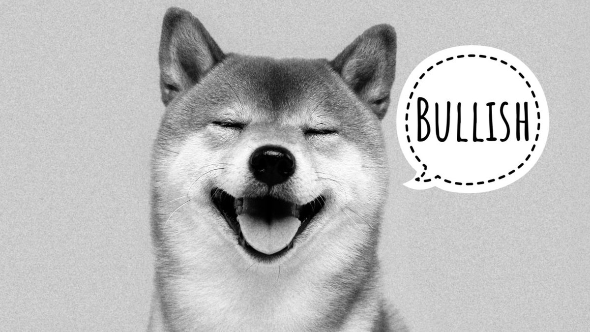 Peaky dude tweet media