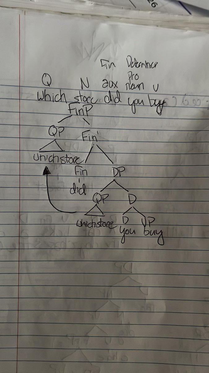 cee_koh's tweet image. Midterms go hard #syntax #morphology #syntaxtrees #help