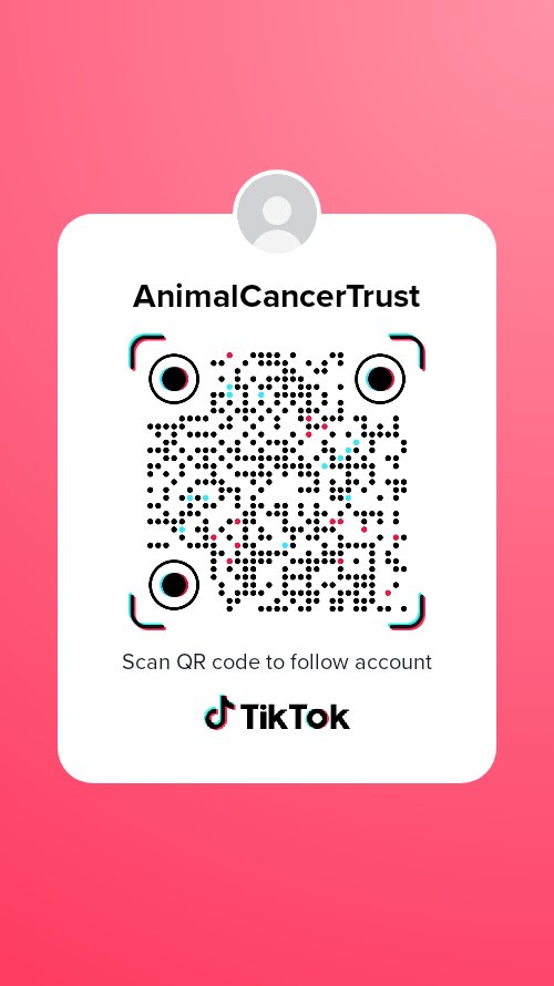 We are embracing the current trend, and are venturing in to unknown territories 😂 we are now on ticktock, if you are already on there please give us a follow but please bare with us as we get used to it and start to post some content
#tiktok #fundraising #fightingcancerinourpets
