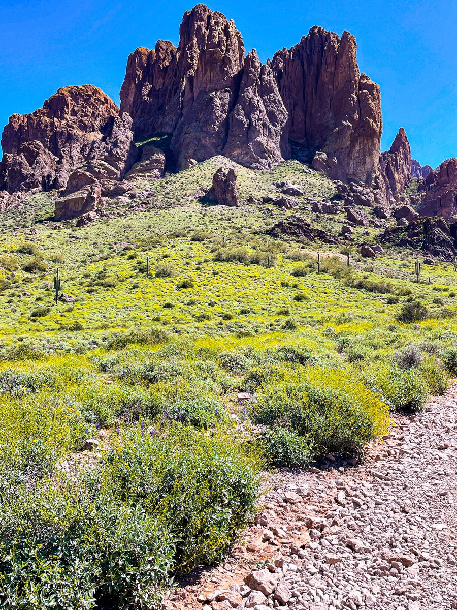 Gorgeous spring day today! #state48  #superstitionmountains #hikeaz