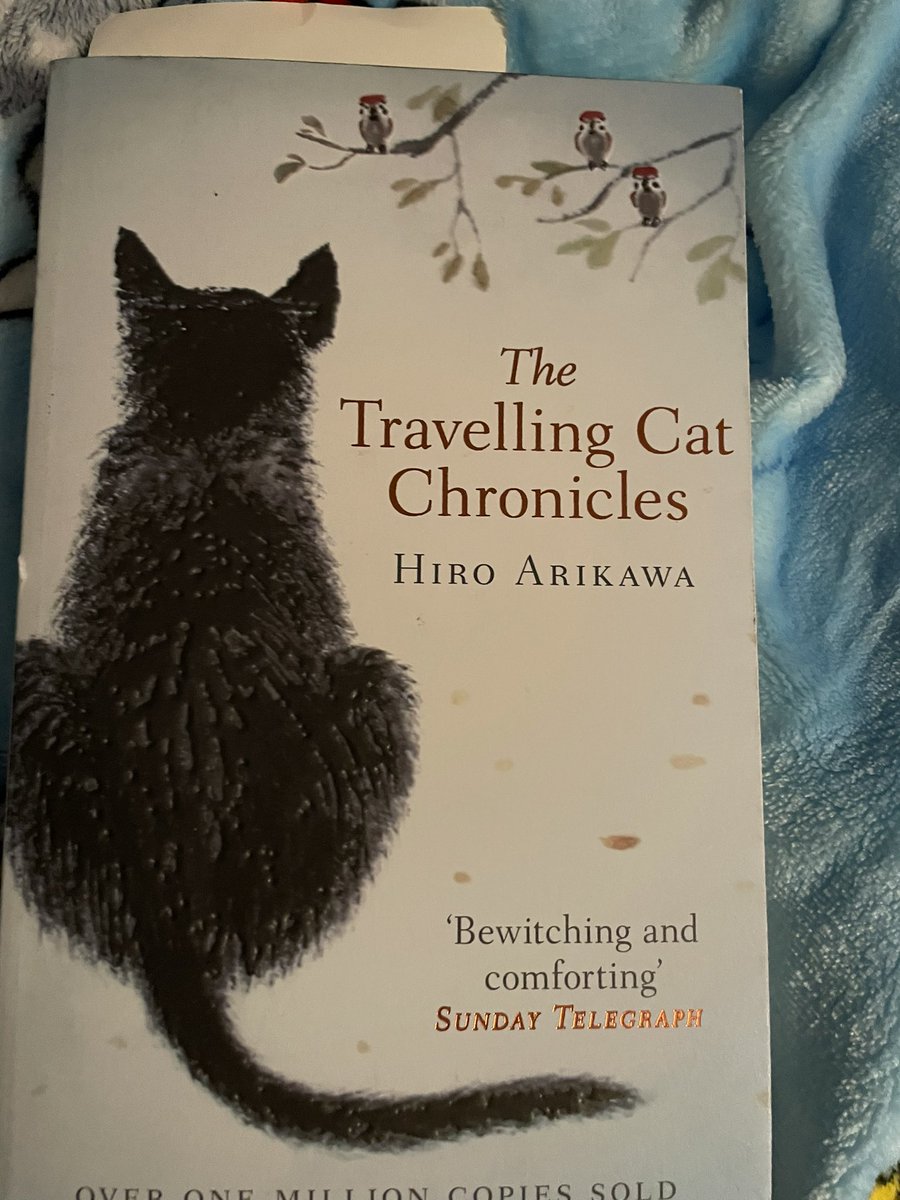 Carineitor's tweet photo. @greeneyedgurl25 have you read this book? It is so beautifully written https://t.co/FfFEEXXSFJ