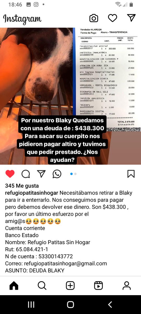 Katherin8782818's tweet image. @refuigoopatitadinhogar instagram #Blanky ayuda aqui los datos para aportar rt