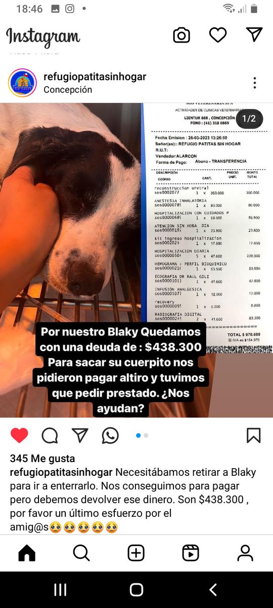 Katherin8782818's tweet image. @refuigoopatitadinhogar instagram #Blanky ayuda aqui los datos para aportar rt
