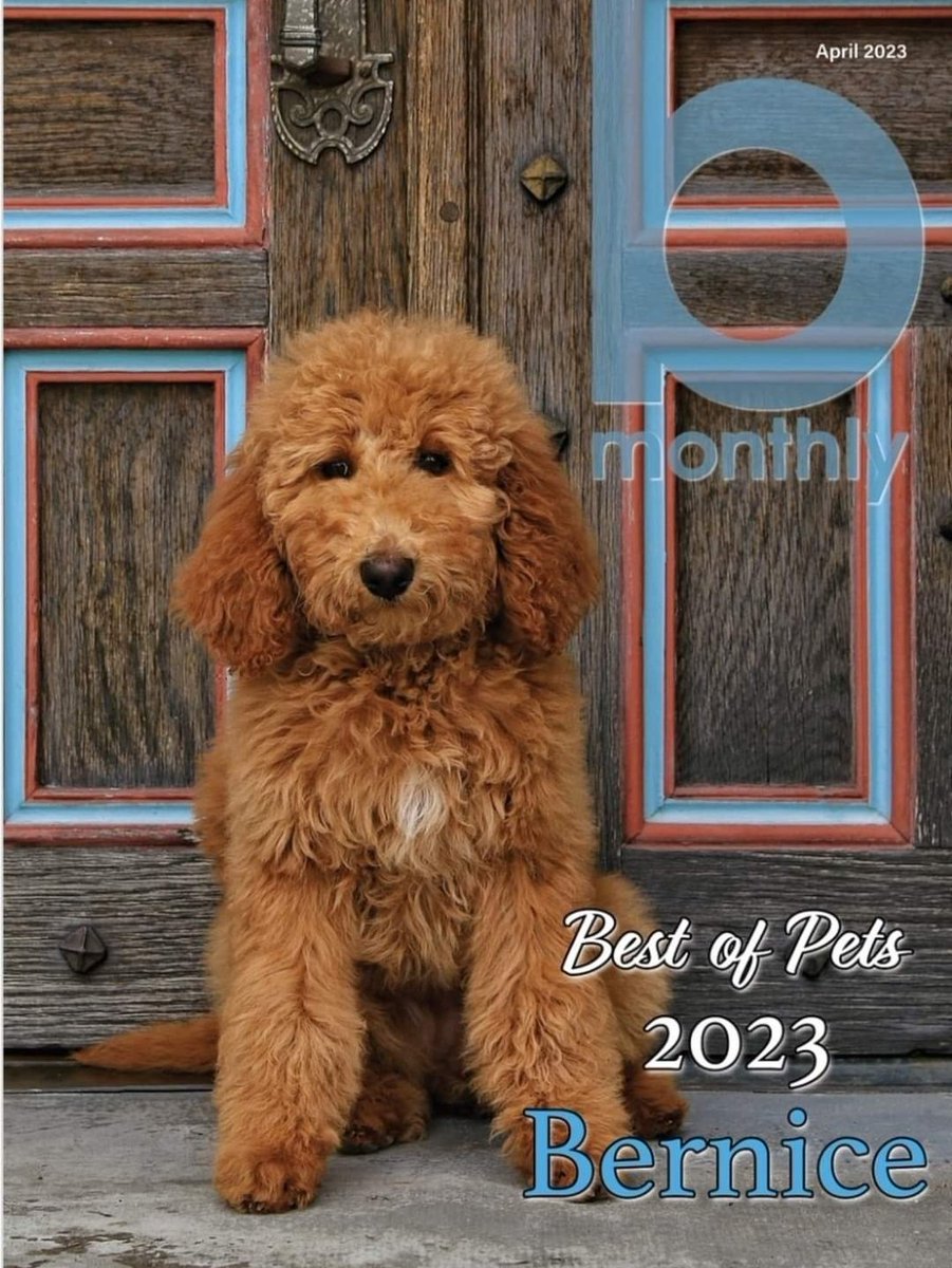 Congratulations to our "Best of Pets" 2023 judges winner Bernice! Thank you for sharing your pets with us, Bartlesville. We love seeing all these furry faces. 🐕🐶🐈🐥
Magazines will be out this Thursday, so get your copy before they are all gone. God bless!